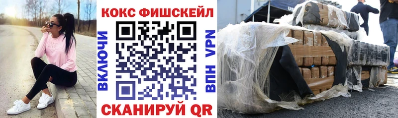 дарнет шоп  Будённовск  Cocaine VHQ 