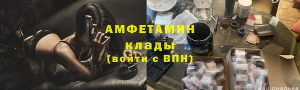 твердый Богородицк